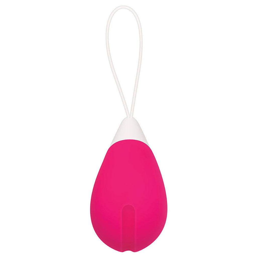 Remote Control Egg Vibrator