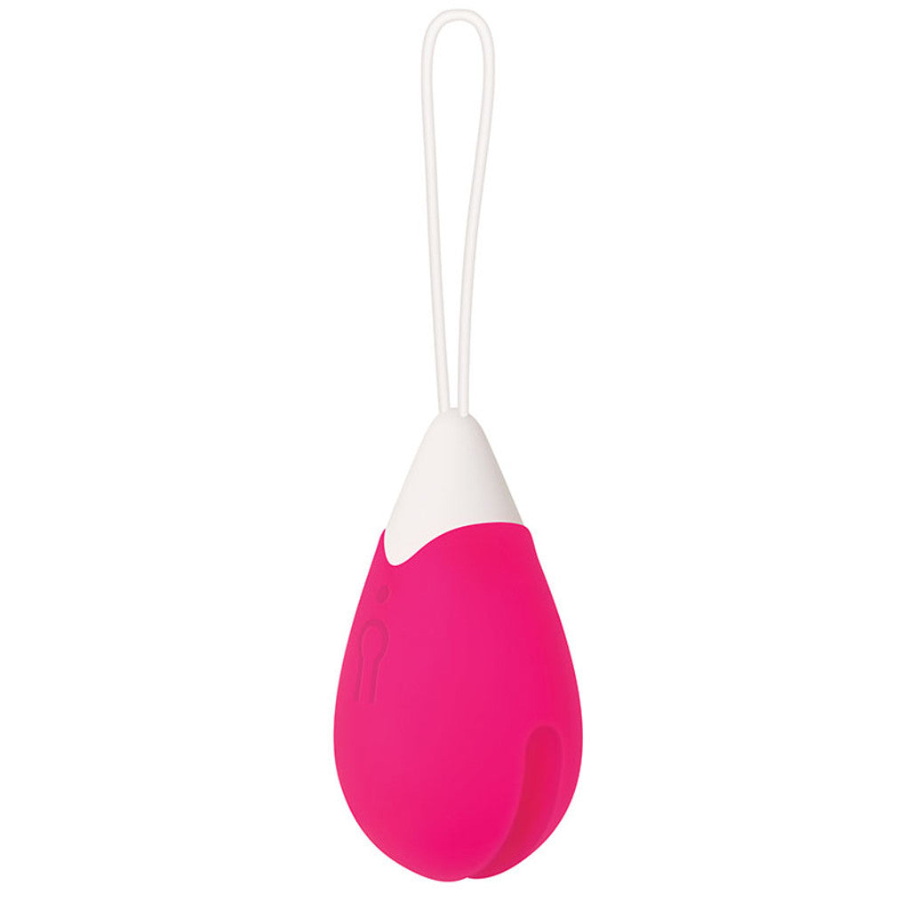 Remote Control Egg Vibrator