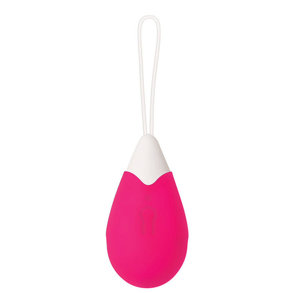 Remote Control Egg Vibrator